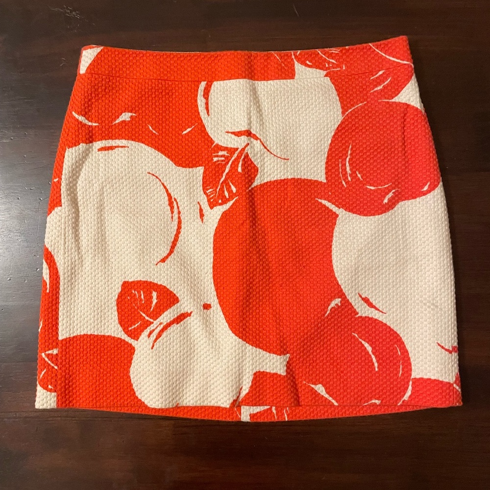 J Crew Vintage inspired skirt